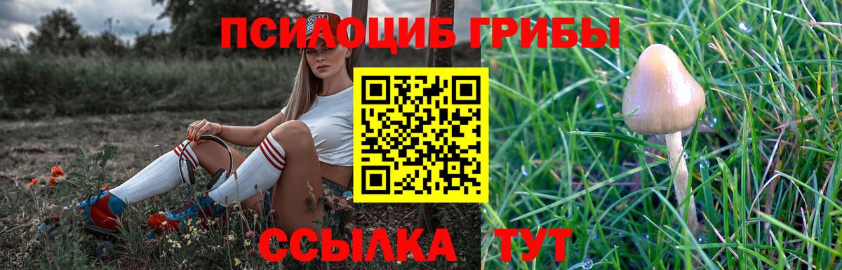 Лангепас  Галлюциногенные грибы мицелий  Псилоцибиновые грибы мицелий  Вход с VPN 